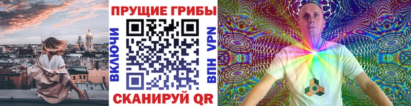 площадка состав  Сергач  Галлюциногенные грибы MAGIC MUSHROOMS 